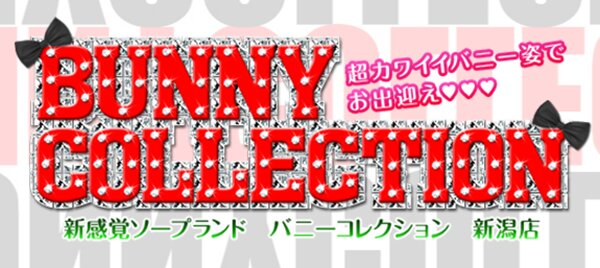 バニーコレクション